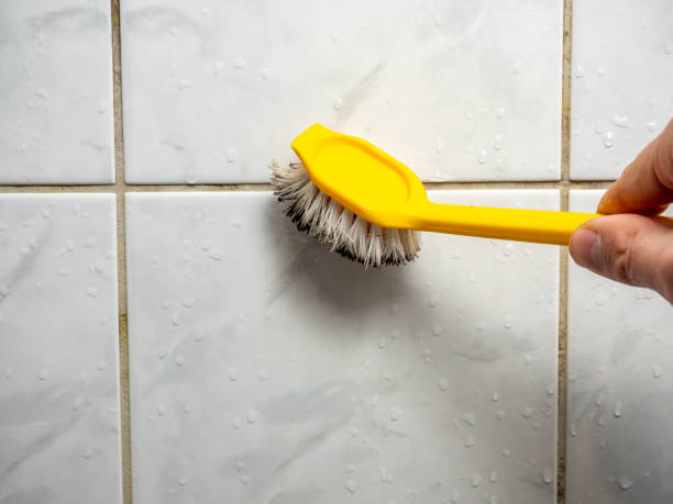 Best Mold Remediation for Schools in Cassville, MO