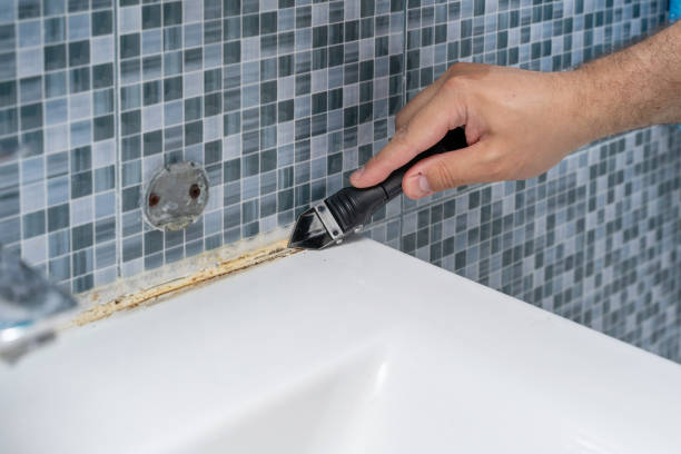 Trusted Cassville, MO Mold Remediation Experts