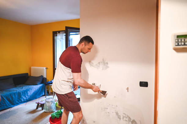 Best Emergency Mold Remediation in Cassville, MO